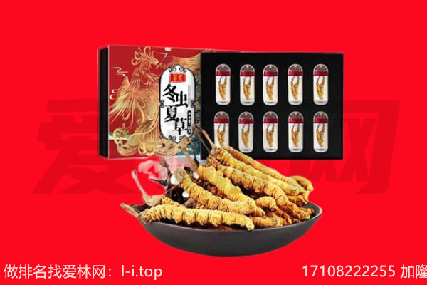 鄂温克族旗回收虫草.jpg